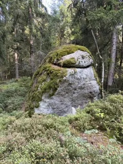 Einhundertneunundzwanzig